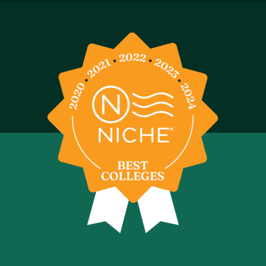 Niche logo since 2020