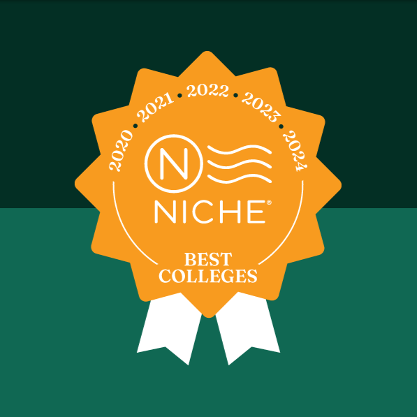 Niche logo ranking since 2020