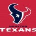 Three Rice Students Hired by the Houston Texans to Work Games